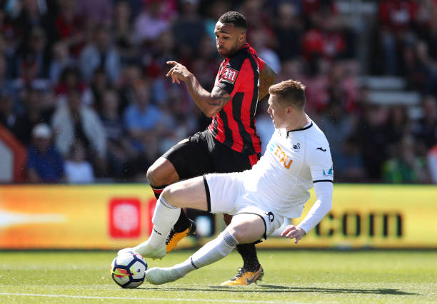 开花结果 开花结果